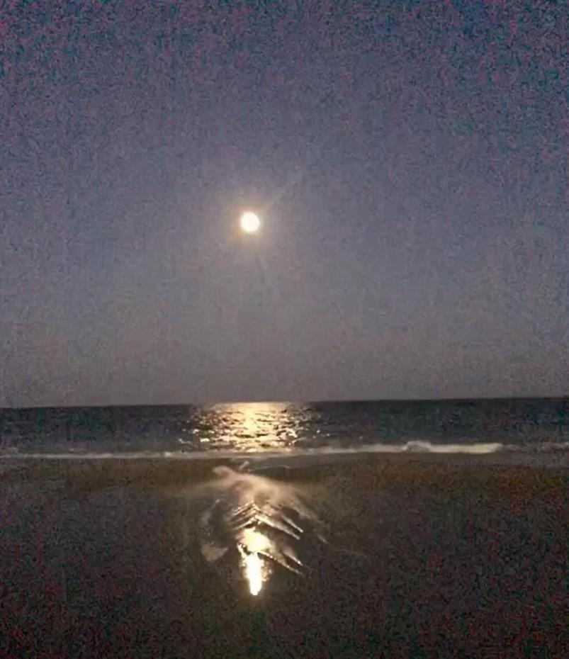 미를 비치 2501 S Ocean Blvd, 0811 - Ocean Front Sleeps 6 빌라 외부 사진